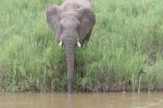 safrica_dec_13_image6.jpg